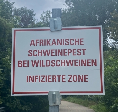 Afrikanische Schweinepest
