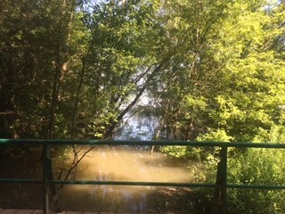 Blick von einer Brücke auf einen, durch Hochwasser angeschwollenen , Bach