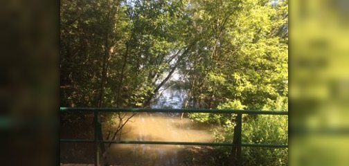 Blick von einer Brücke auf einen, durch Hochwasser angeschwollenen , Bach