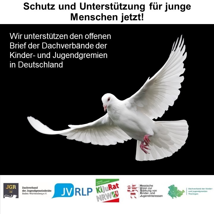 Schutz und Unterstützung für junge Menschen jetzt