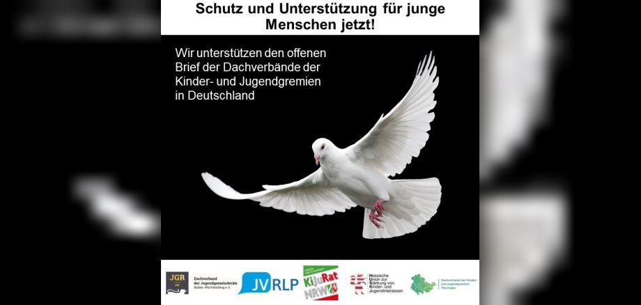 Schutz und Unterstützung für junge Menschen jetzt