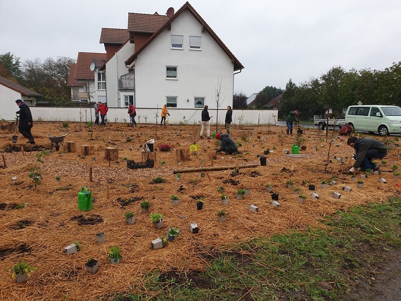 Planzaktion in Köngernheim