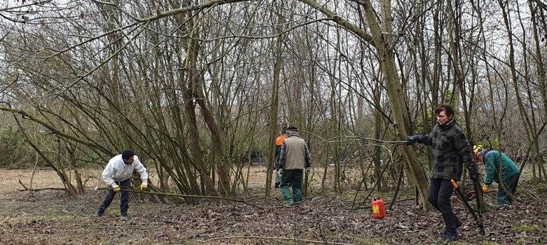 Flurbereinigung Flurbereinigung