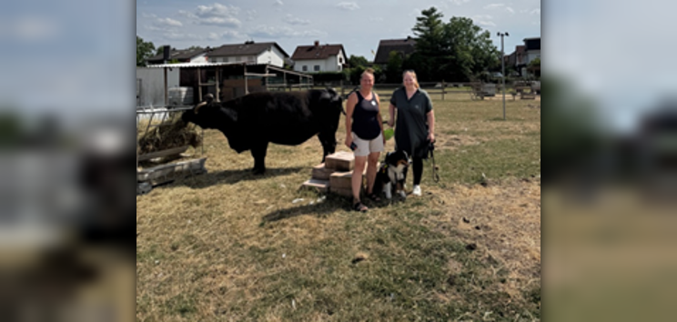 Tiergarten Oppenheim Tiergarten Oppenheim
