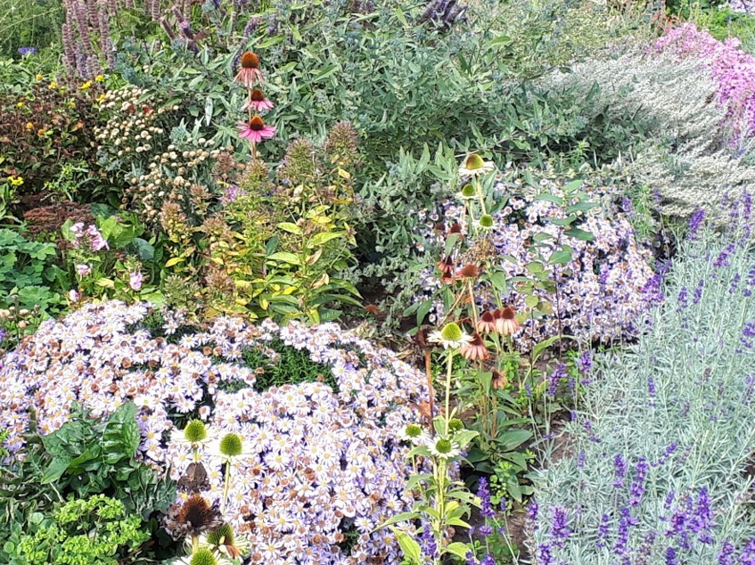 Biodiversitätskonzept Biodiversitätskonzept