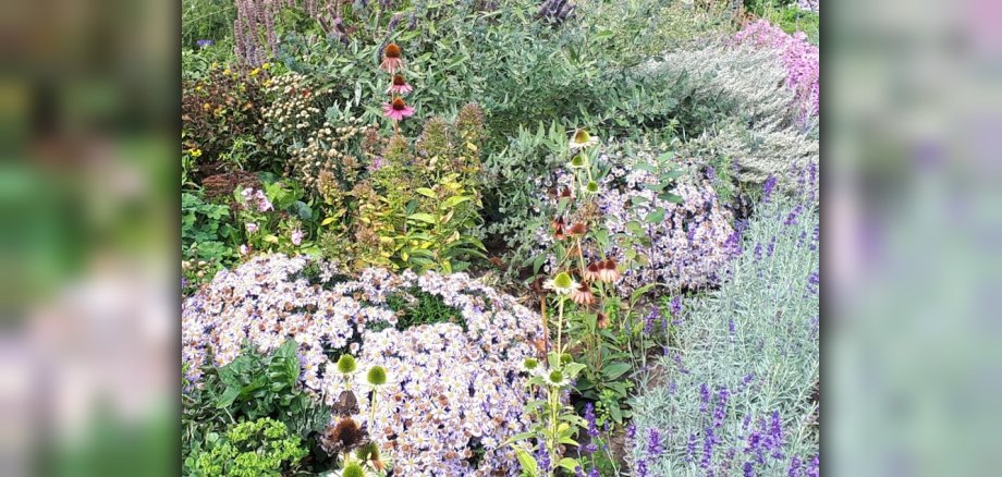 Biodiversitätskonzept Biodiversitätskonzept