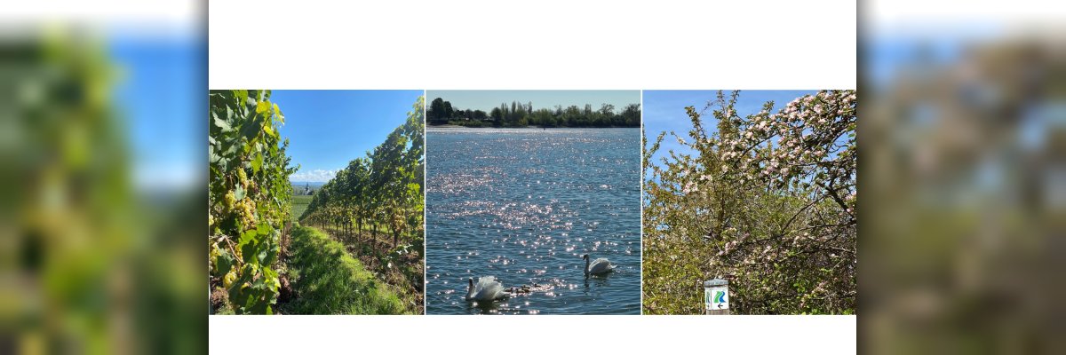 Verbandsgemeinde Rhein-Selz